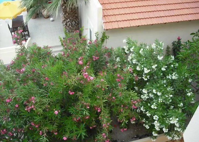 Summer Memories מלון דירות Pefki (Rhodes)