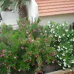 Summer Memories Aparthotel Pefki