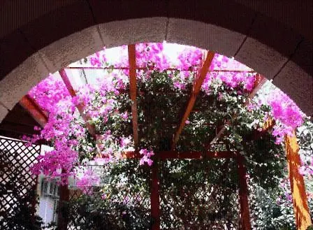 夏日回忆公寓式酒店 3*