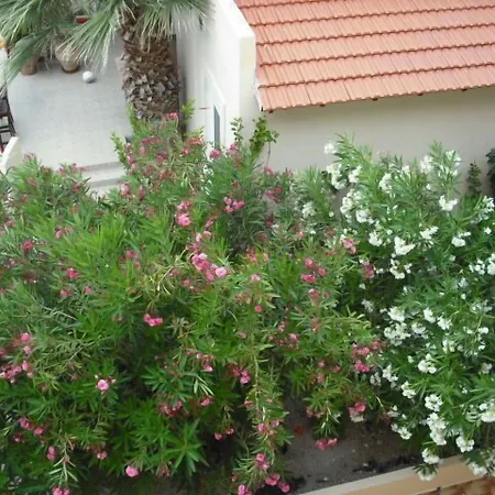 夏日回忆公寓式酒店 公寓式酒店 Pefki