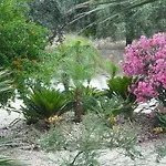 Summer Memories 3* Pefki (Rhodes)