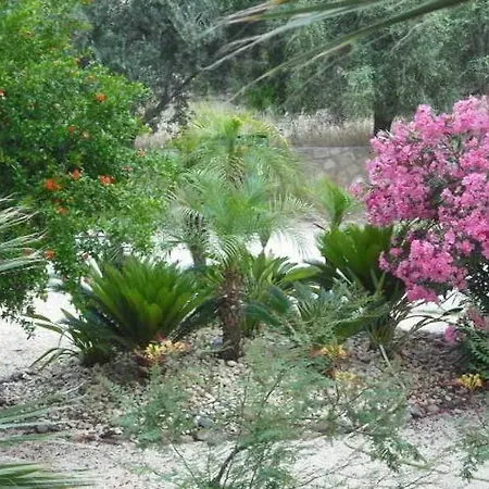 Summer Memories 3* Pefki