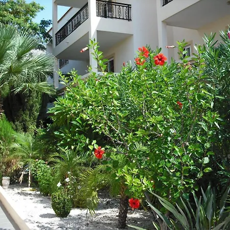 Summer Memories 3* Pefki