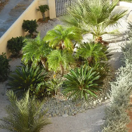 Summer Memories Aparthotel 3*