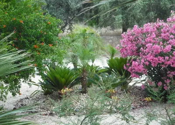 Summer Memories 3* Pefki