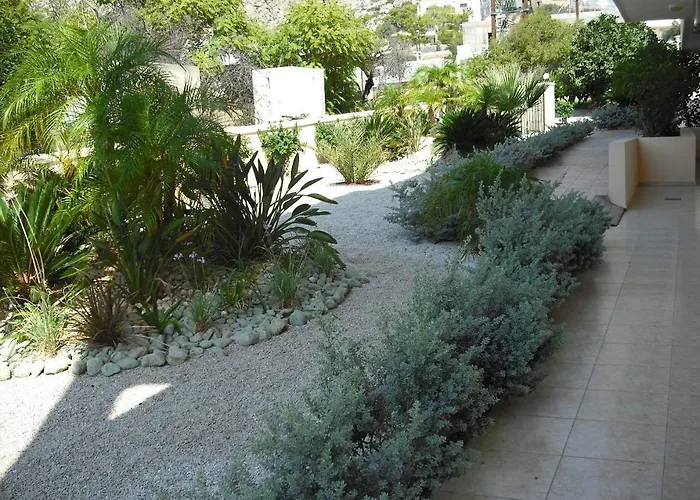 Summer Memories Pefki